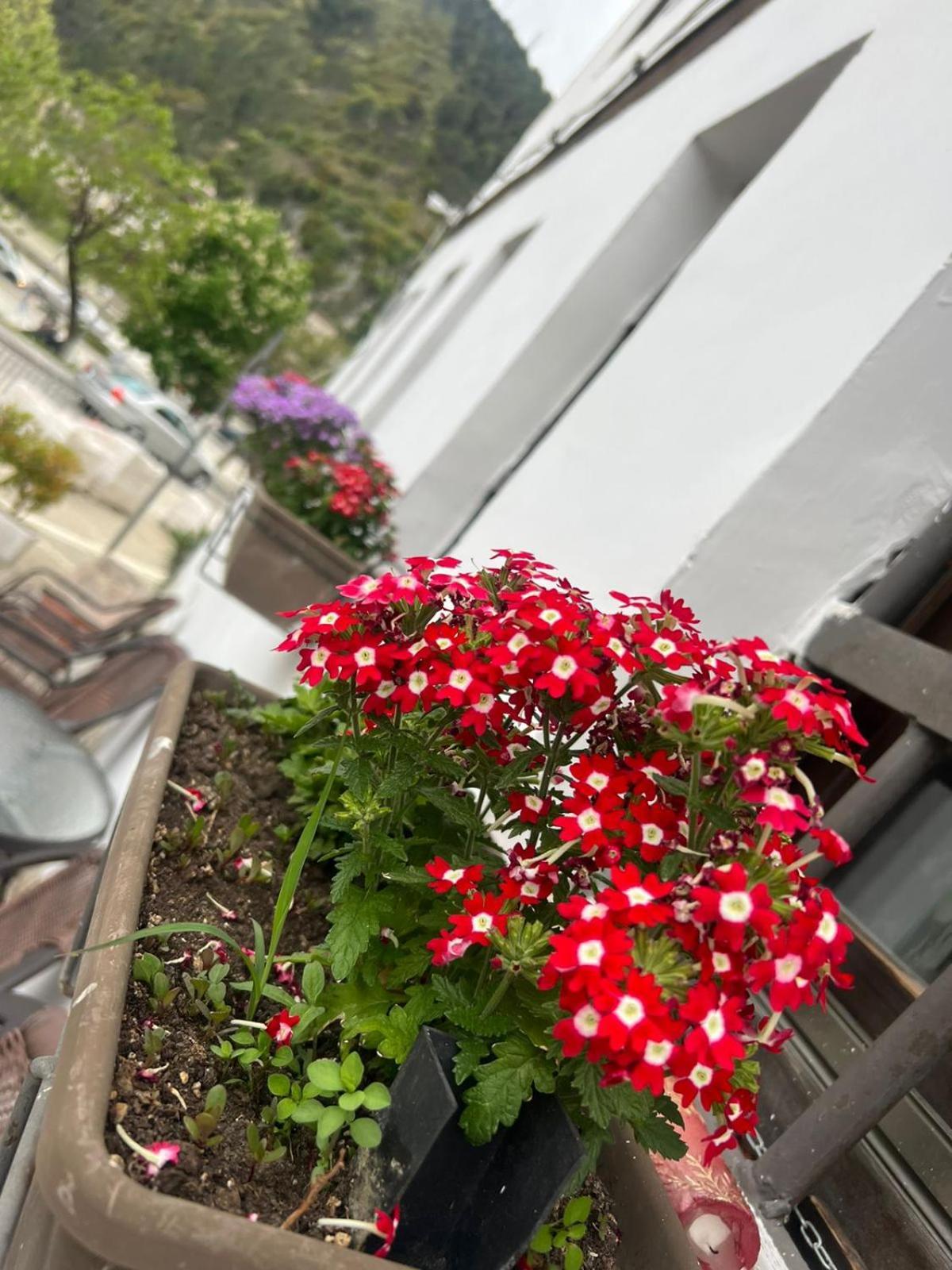 Hotel Omer Berat Habitación foto